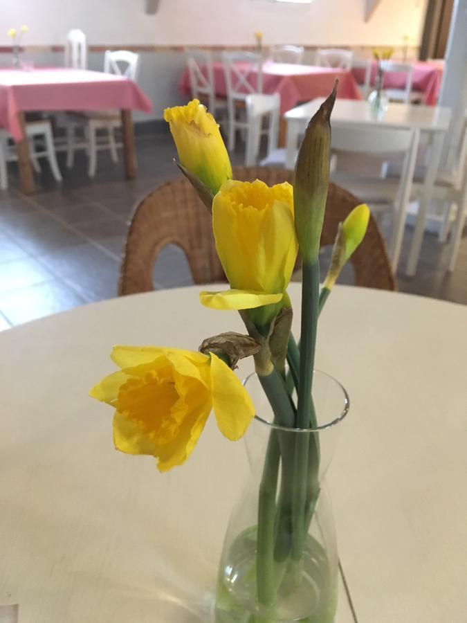 Borrby Froe B&B Zewnętrze zdjęcie